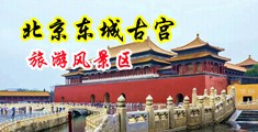 操大胸导航在线大全中国北京-东城古宫旅游风景区